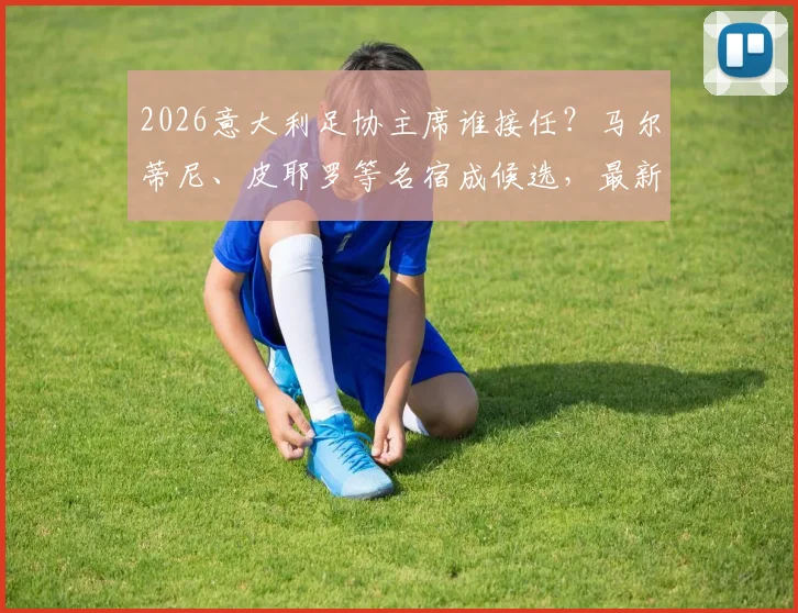 2026意大利足协主席谁接任?马尔蒂尼、皮耶罗等名宿成候选,最新名单与利弊深度探讨